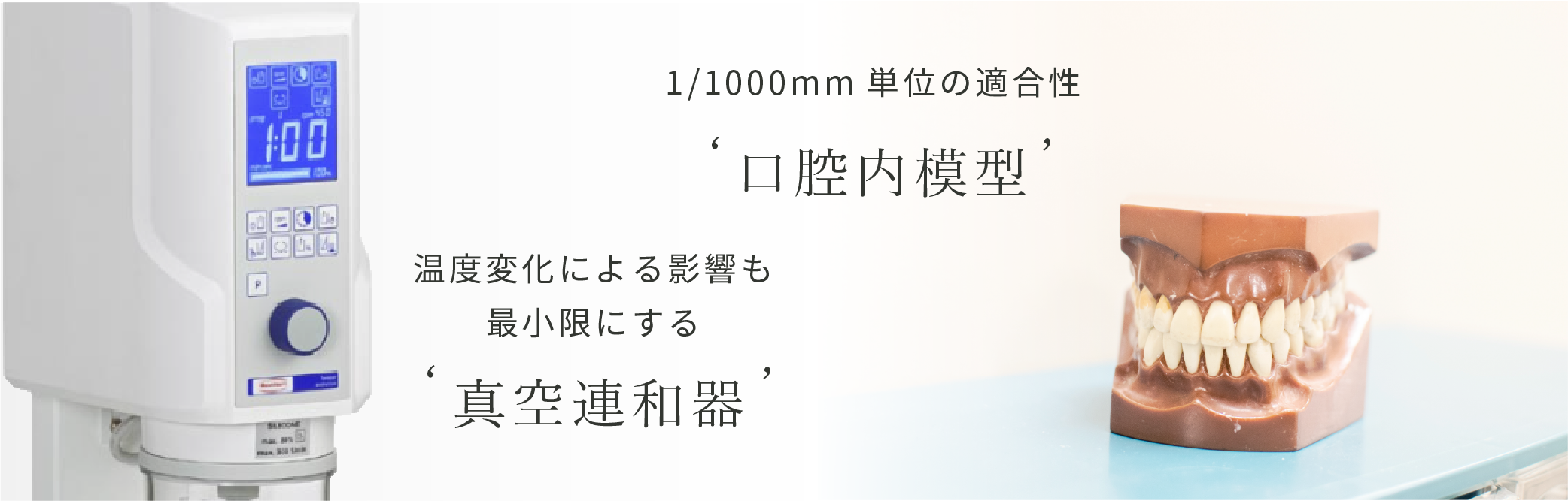 真空連和器と歯の模型