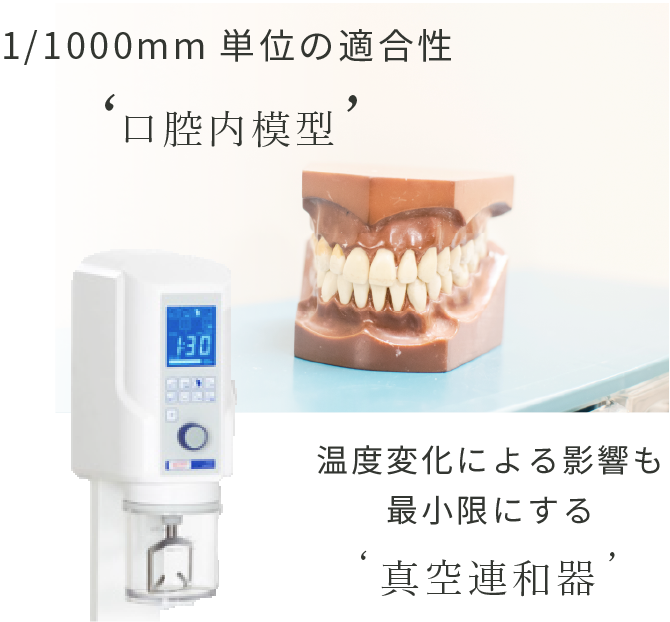 真空連和器と歯の模型